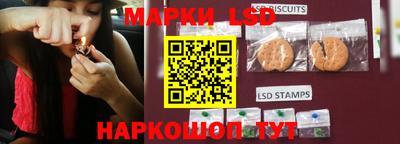 индика Жуковский