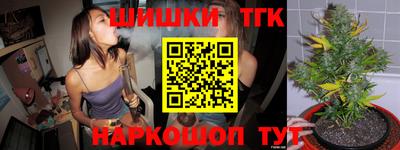 индика Жуковский