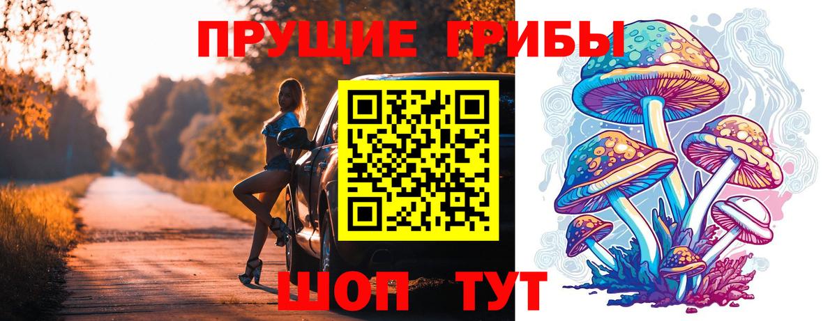 Псилоцибиновые грибы ЛСД Курчалой