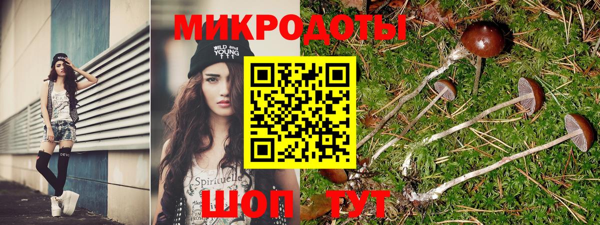 Галлюциногенные грибы прущие грибы  Вход с VPN  Курчалой 